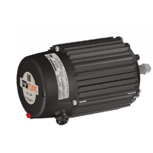 Moteur Flex 1.9HP